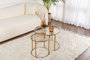 Nordure Juego de Mesas de Café 60x43x60cm y 42x39x42cm, Vidrio Templado y Metal, Oro y Bronce